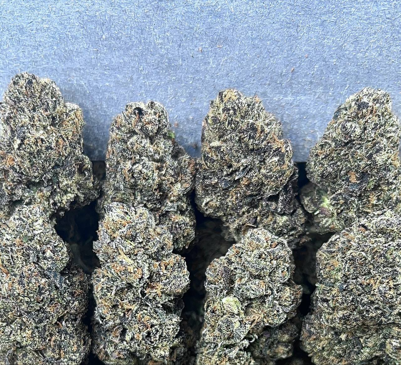 FROSTED MOCHI GELATO