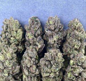 CANDY POPZ