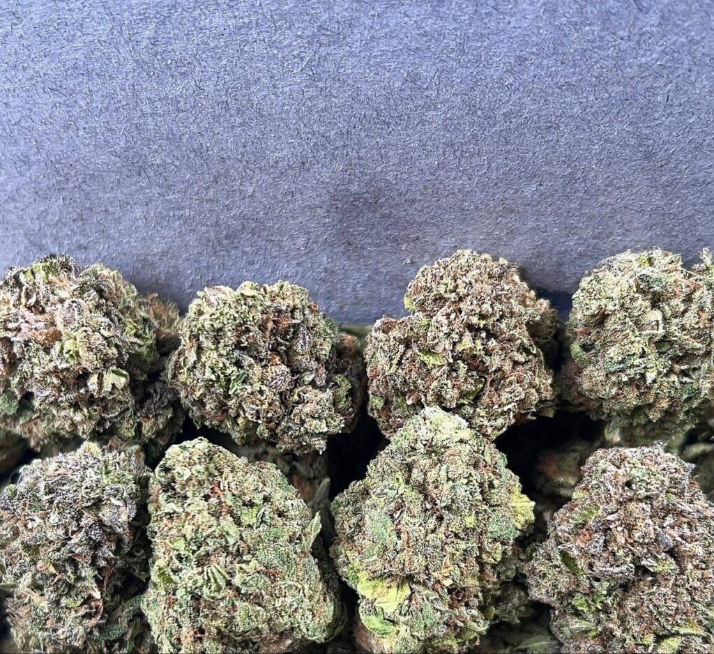 ICE CREAM CAKE(SLIGHTLY SEED)