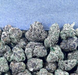 LCG MEDIUM