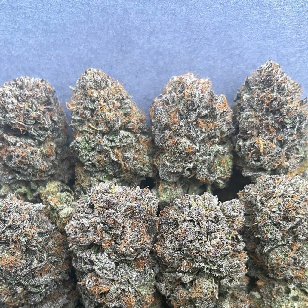 PLATINUM BUBBA KUSH