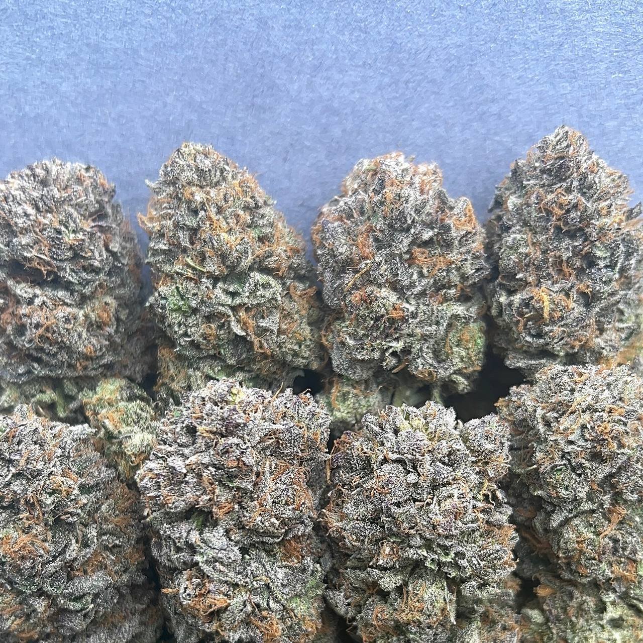 PLATINUM BUBBA KUSH