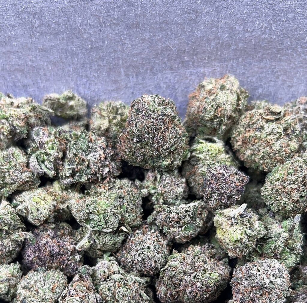 LEMON CHERRY RUNTZ SMALL