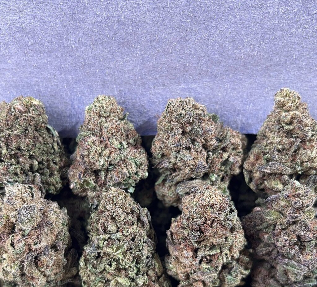 RUNTZ FLOAT(SLIGHTLY SEED)