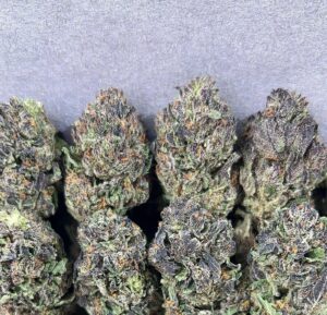 PURPLE RUNTZ